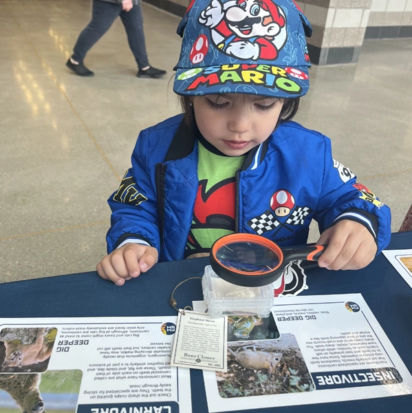 Child with a magnifying glass examining a small animal skull